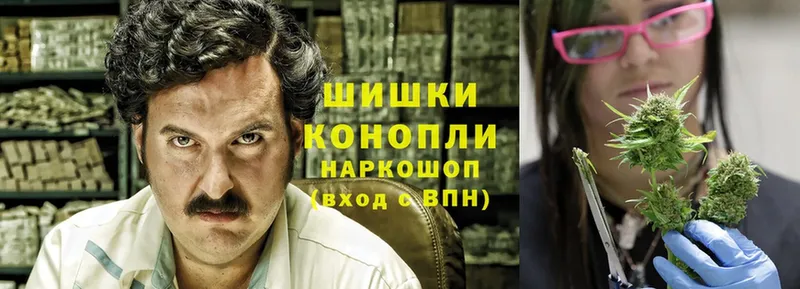 Марихуана Bruce Banner  Калач 